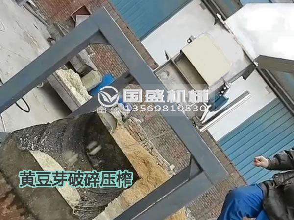 91视频网站免费看黃豆芽固液分離機