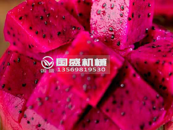 91视频网站免费看火龍果擠壓脫水設備