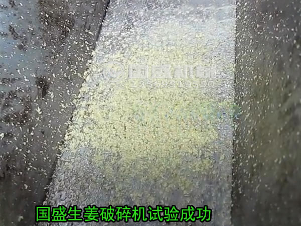 粉碎薑的機器 粉碎薑的機器