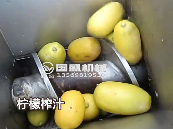 91视频网站免费看新款大型檸檬榨汁機 91视频网站免费看新款大型檸檬榨汁機