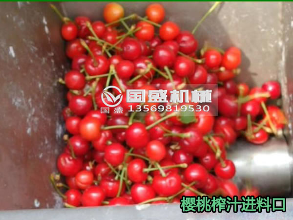 耐腐蝕不鏽鋼螺旋壓榨機 耐腐蝕不鏽鋼螺旋壓榨機