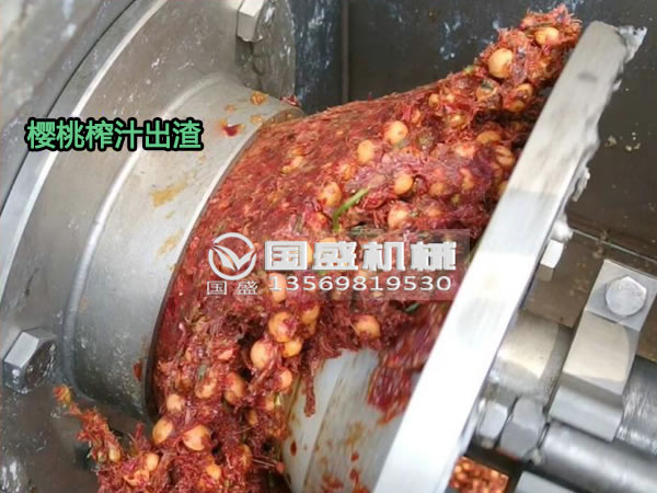91视频网站免费看櫻桃螺旋壓榨脫水機 91视频网站免费看櫻桃螺旋壓榨脫水機